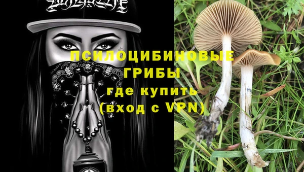 кокаин Горнозаводск