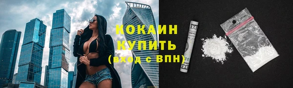 гашик Чегем