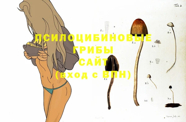 кокаин Горнозаводск