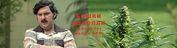 spice Чекалин