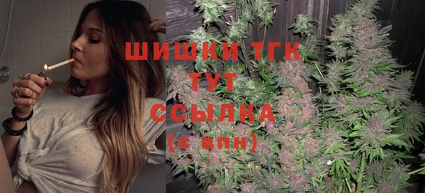 spice Чекалин