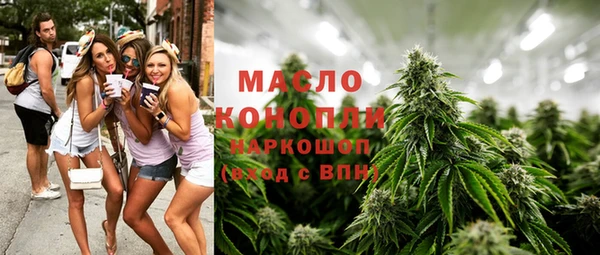гашик Чегем