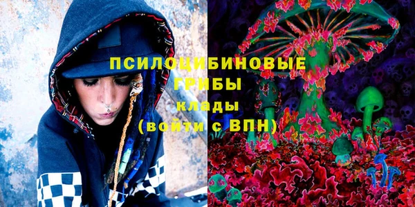 гашик Чегем